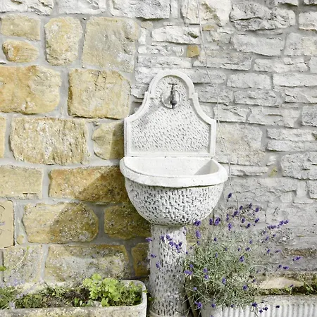 Vesna * 그로즈냔