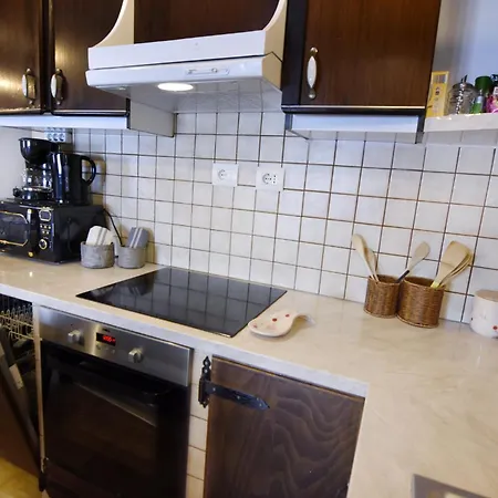 펜션 Vesna 그로즈냔