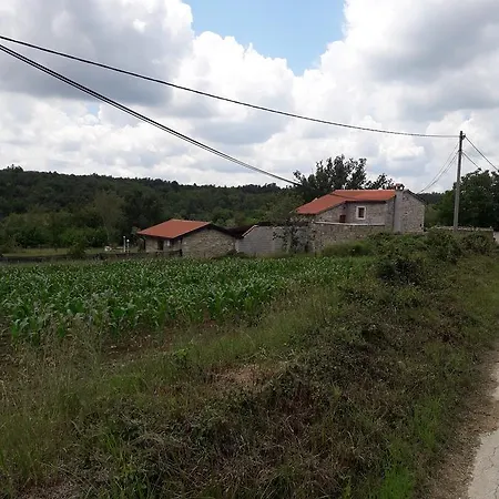 Vesna Grožnjan