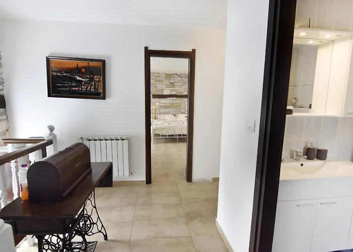 Vila Vesna *