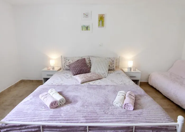 Vila Vesna Holiday home